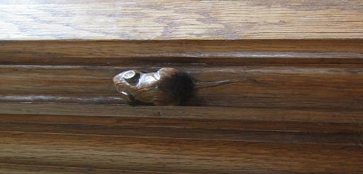 The Mouseman: Robert Thompson of Kilburn and the Art of English Oak