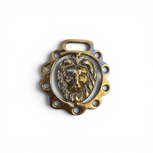 Vintage Solid Brass Lion Head Horse Brass Harness Medallion Equestrian Wall Decor 8cm